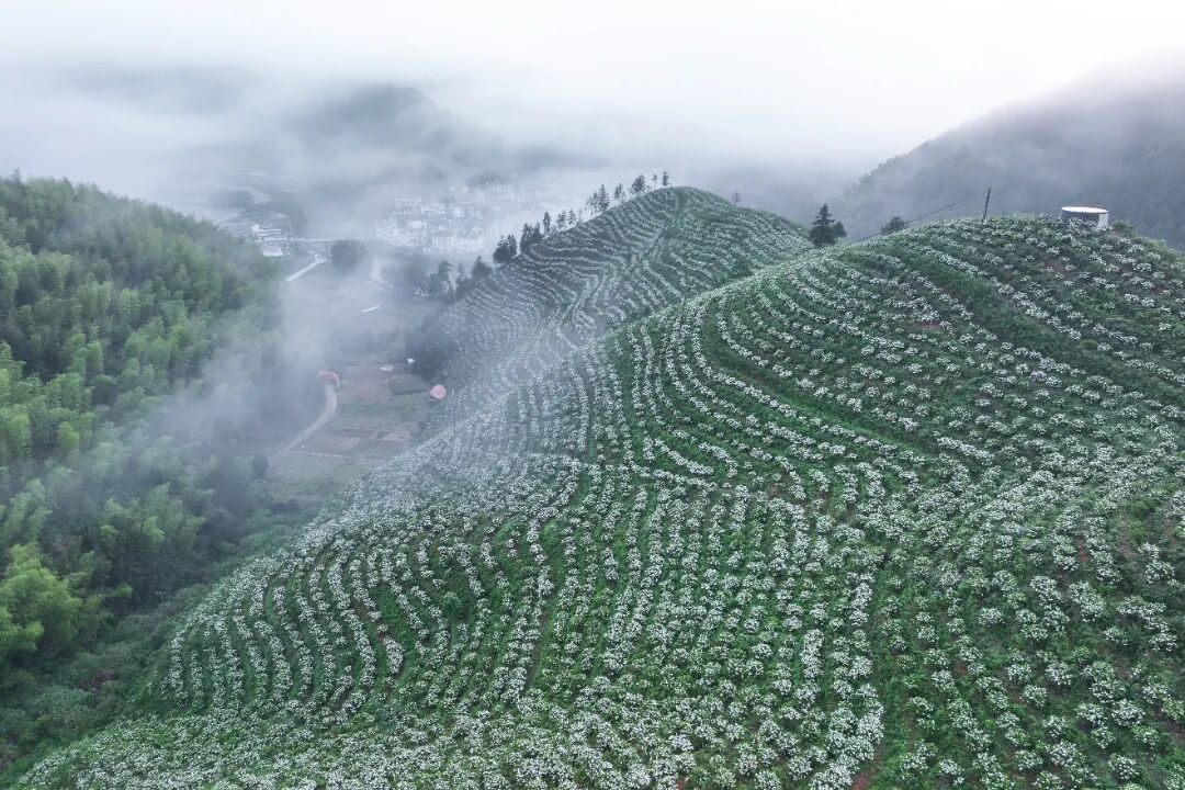 王建才摄 (2).jpg