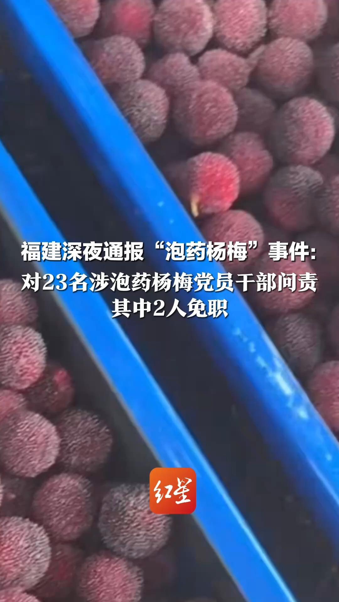 福建深夜通报“泡药杨梅”事件：对23名涉泡药杨梅党员干部问责，其中2人免职、13名党员干部分别党纪、政务立案处理