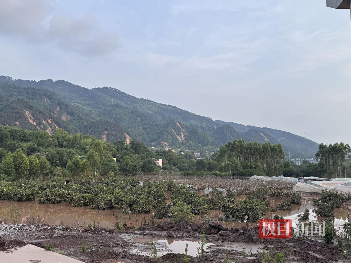 远处山体出现多处滑坡