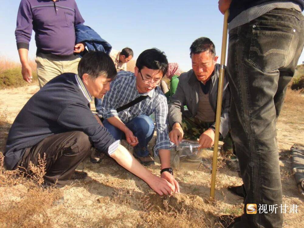 苏伯民(左一)、于宗仁(左二)在陕西统万城遗址现场讨论