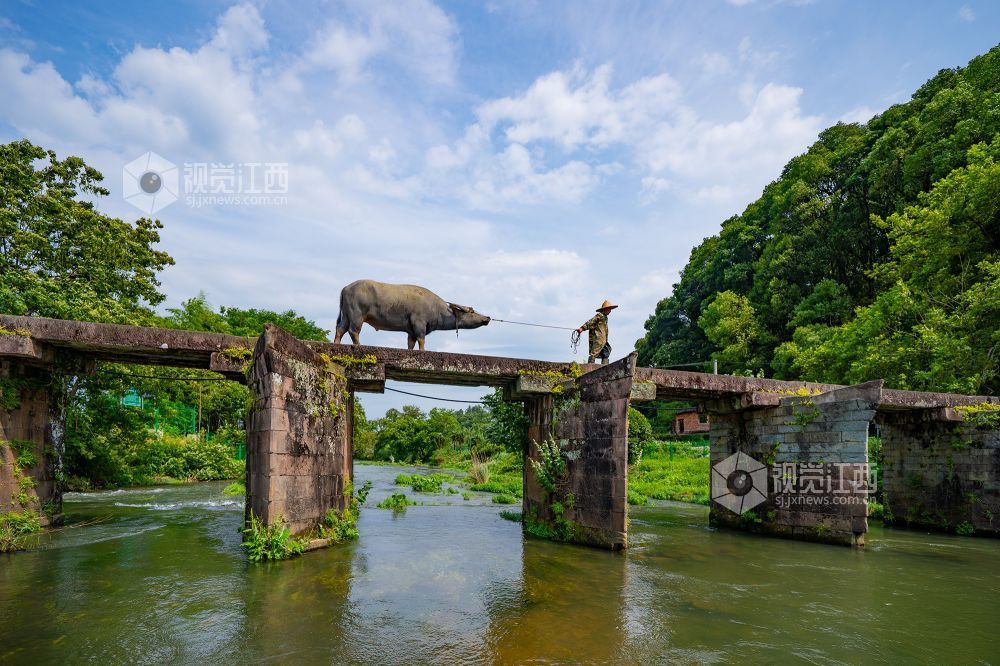 原生态的青田古桥美景。