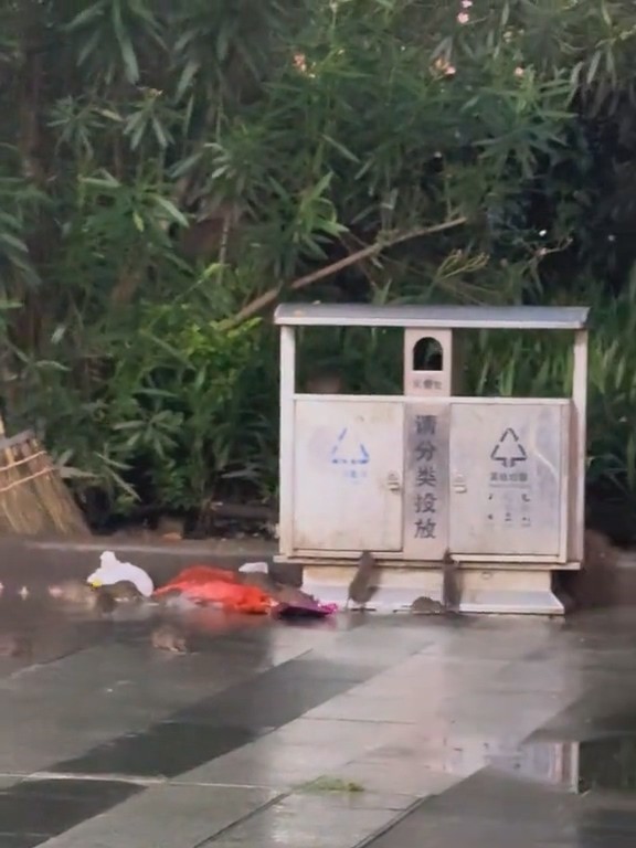 网络视频截图