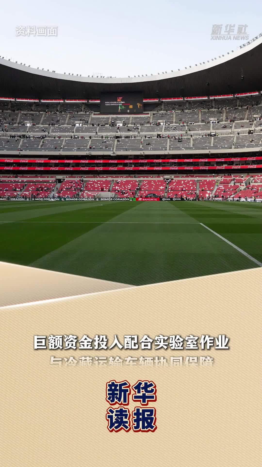 新华读报｜2026年世界杯草坪背后的科学