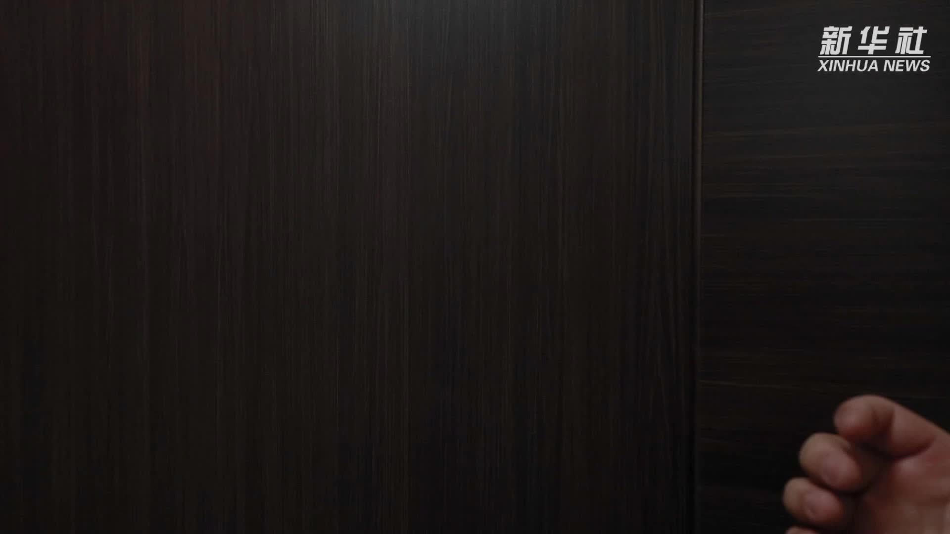 巴基斯坦学者在中国逐绿前行