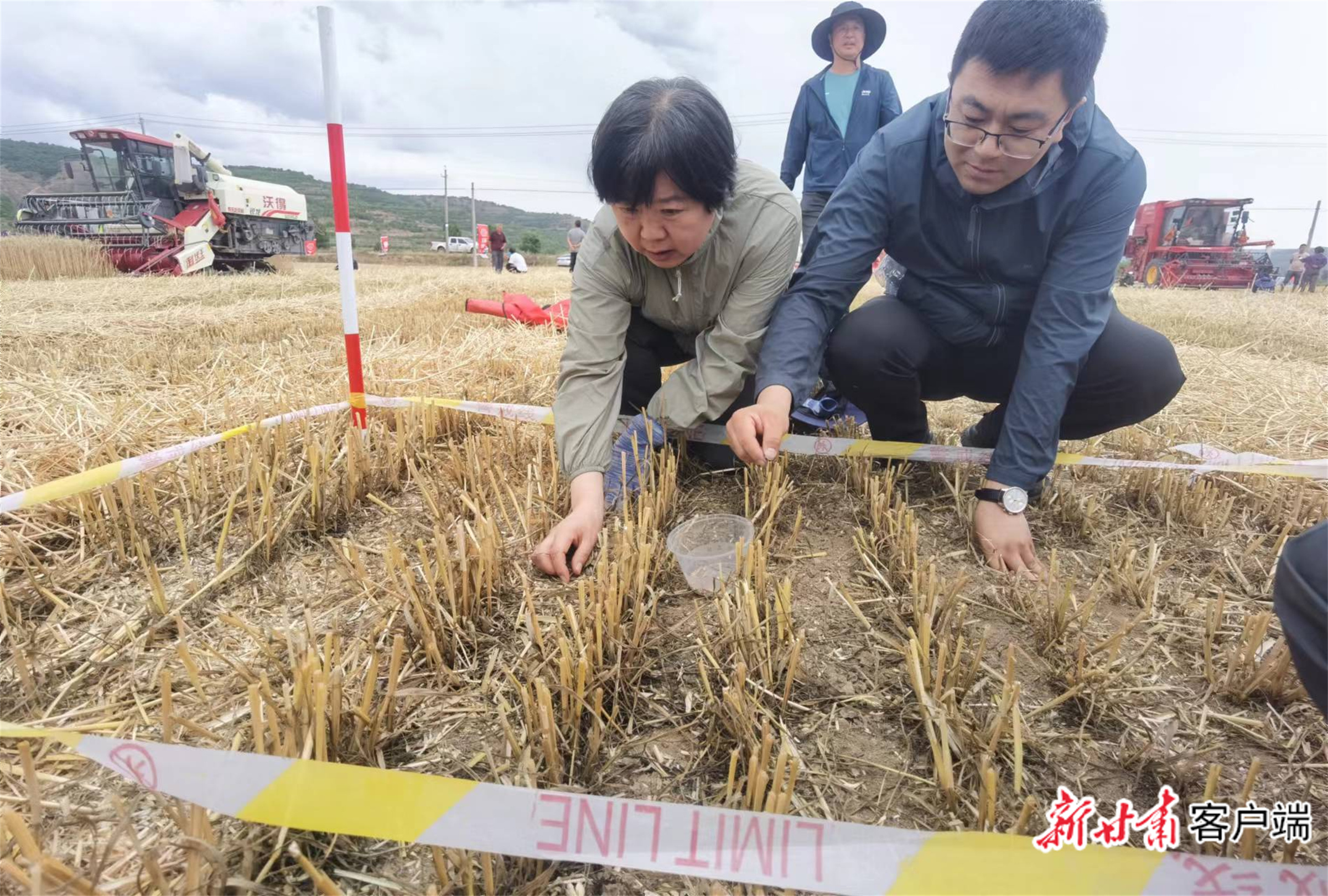 农技人员测算机收损失率 本文图片除署名外均由新甘肃·甘肃日报记者马国顺摄
