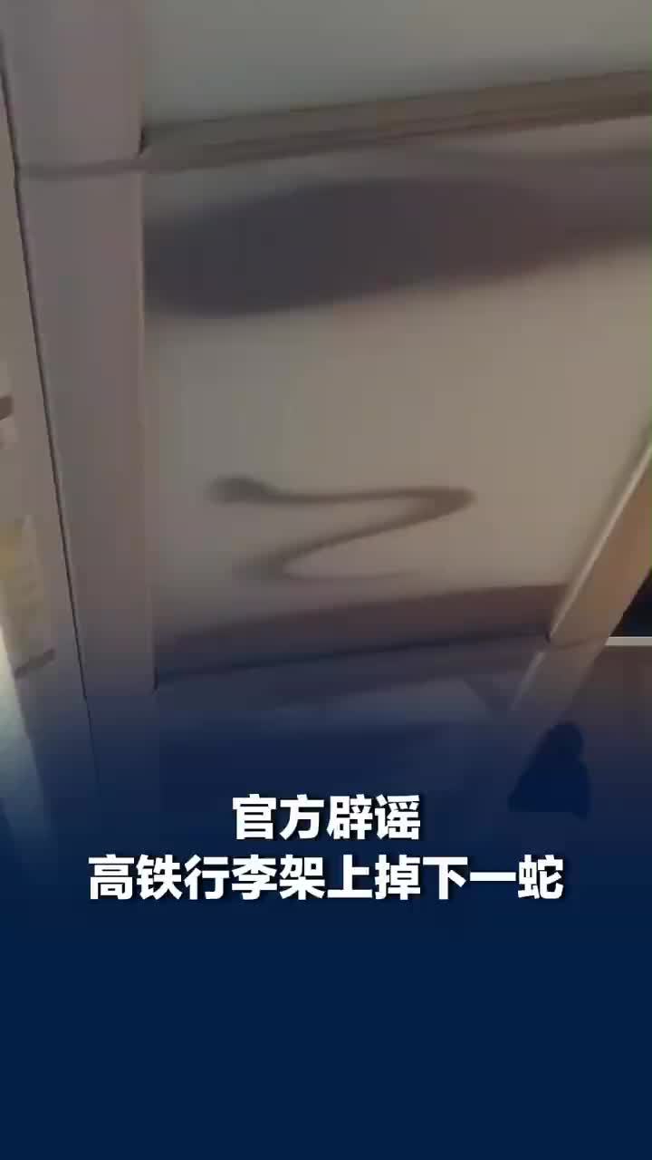 官方辟谣高铁行李架上掉下一条蛇，高铁行李架上掉下一条蛇为白色鳗鱼，未对他人造成影响