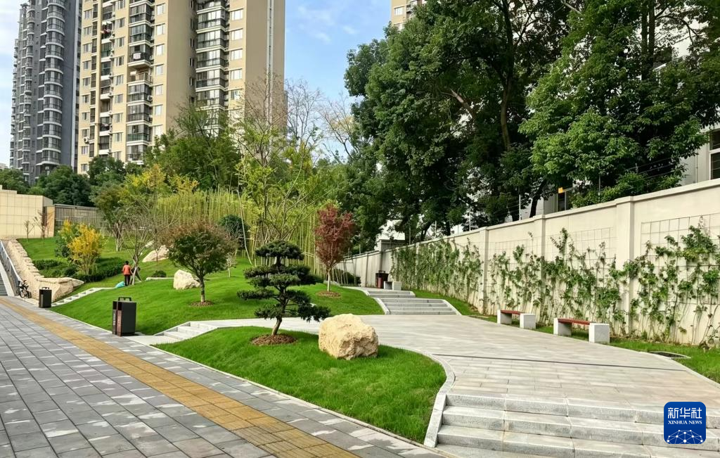 东沙公寓口袋公园。（受访者供图）