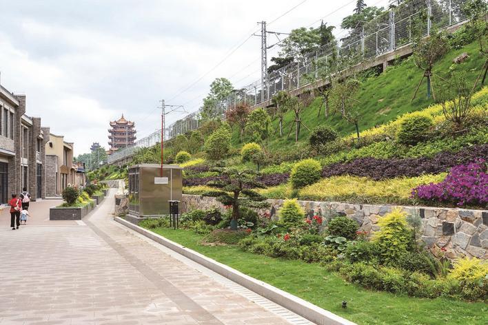 蛇山山麓步道 通讯员供图