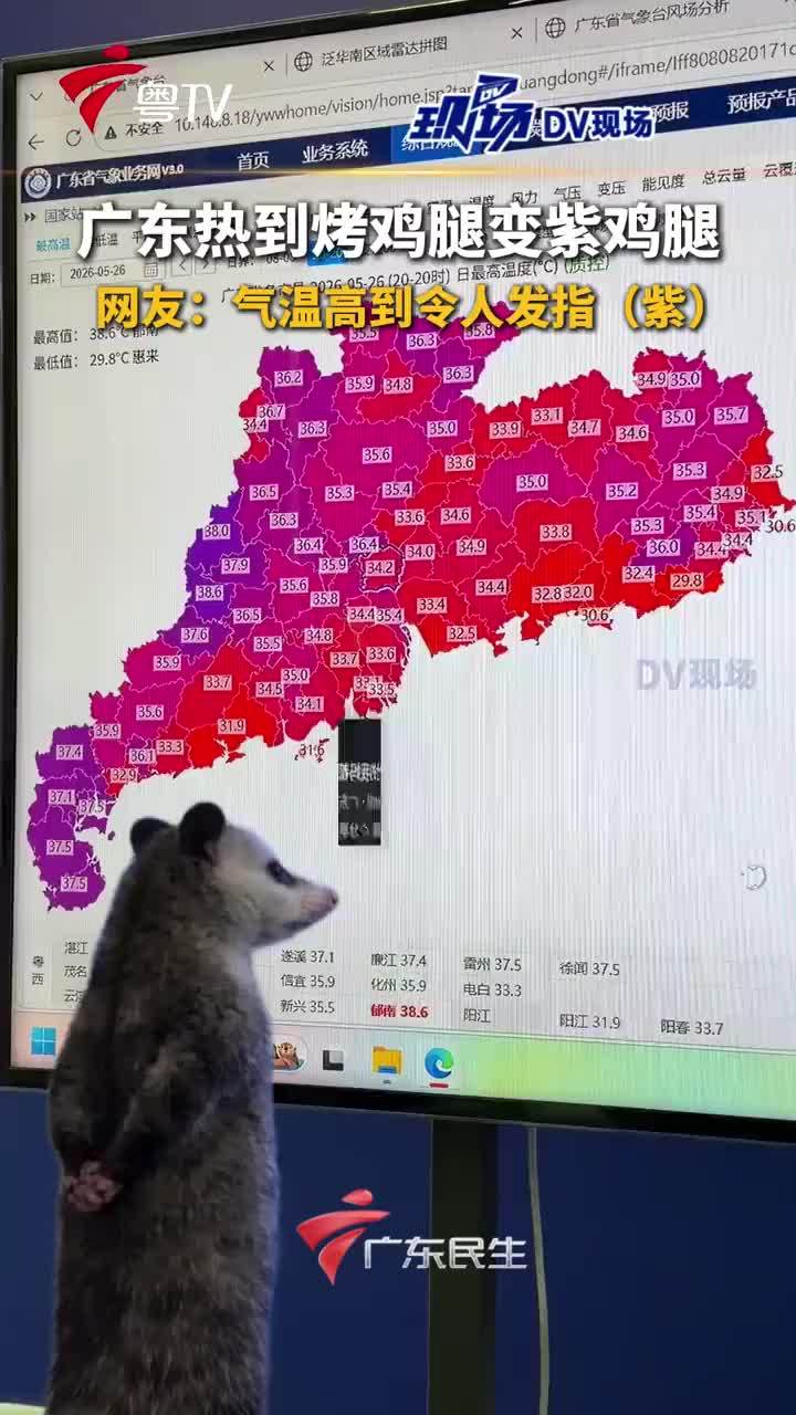 广东热到烤鸡腿变紫鸡腿