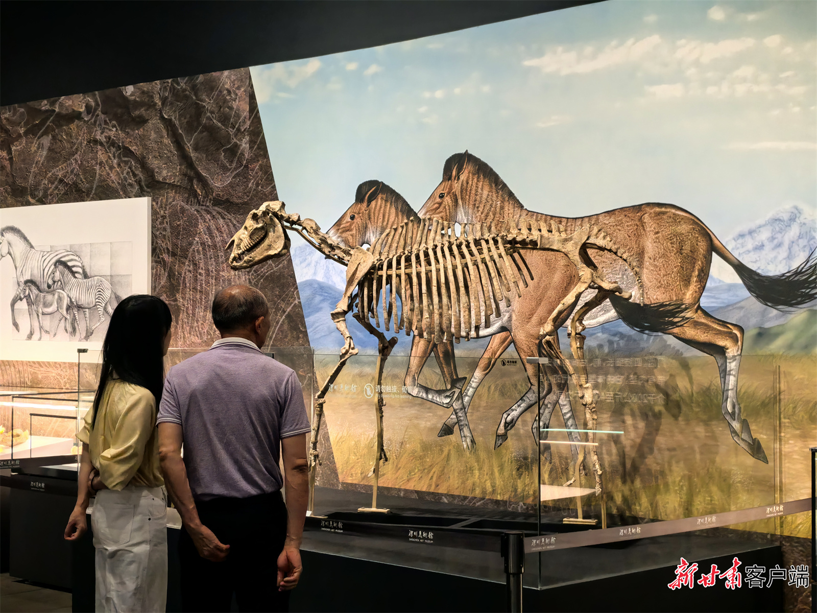 观众凝神细看展品　图片均由新甘肃&middot;甘肃日报记者白永萍摄