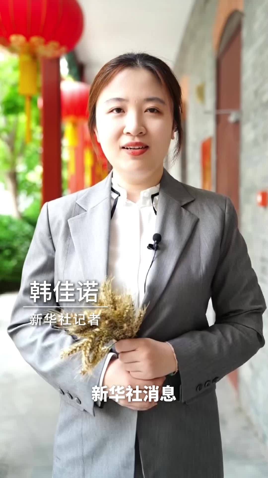 新华社消息｜全国“三夏”大规模小麦机收全面展开