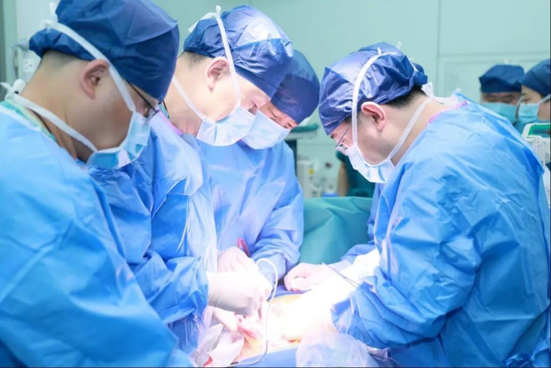 从首例到可复制:亚洲第二例异种肾移植在西安成功