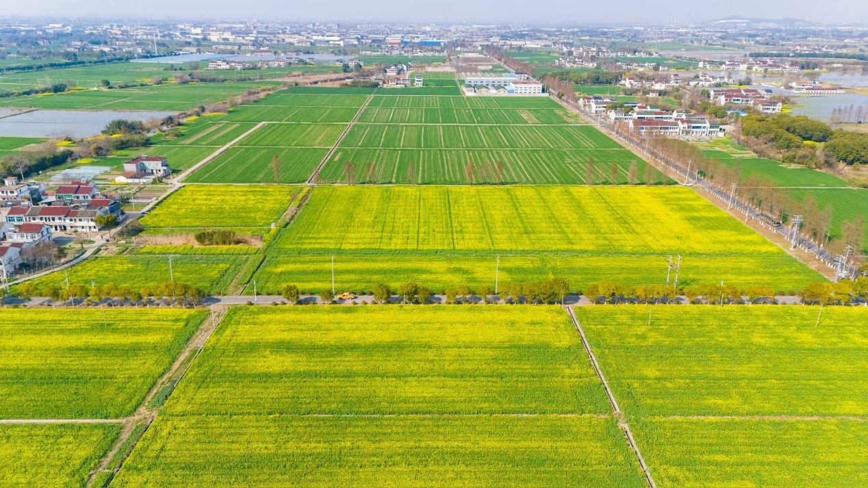 聚焦“农业+”，这场省级会议为何落地宜兴？