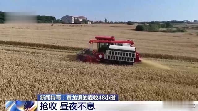 西方媒体念念欠亨:中国抢收小麦,为何有这样多东说念主沉驰援?