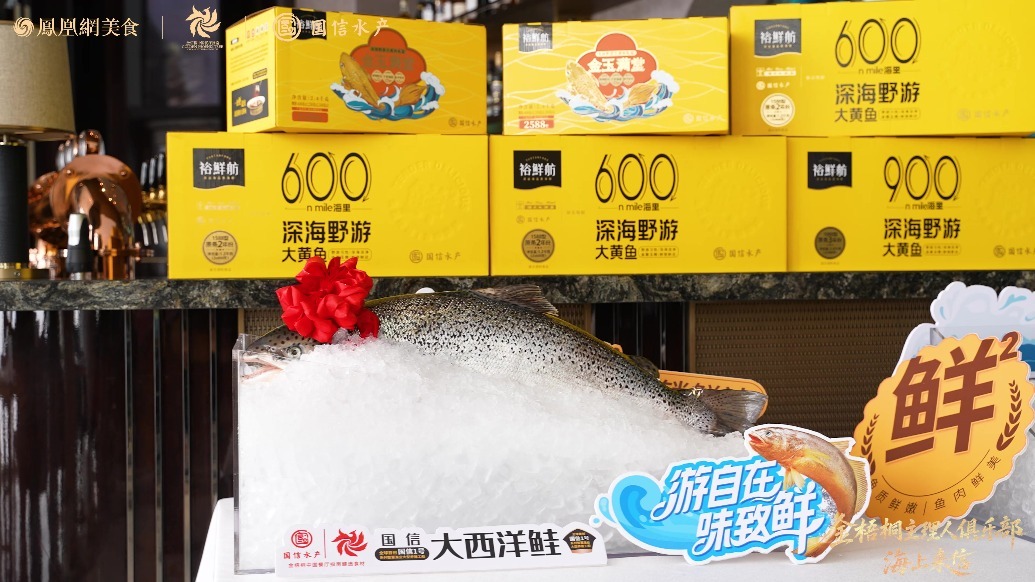 金梧桐主理人俱乐部《海上来信》青岛站精彩瞬间