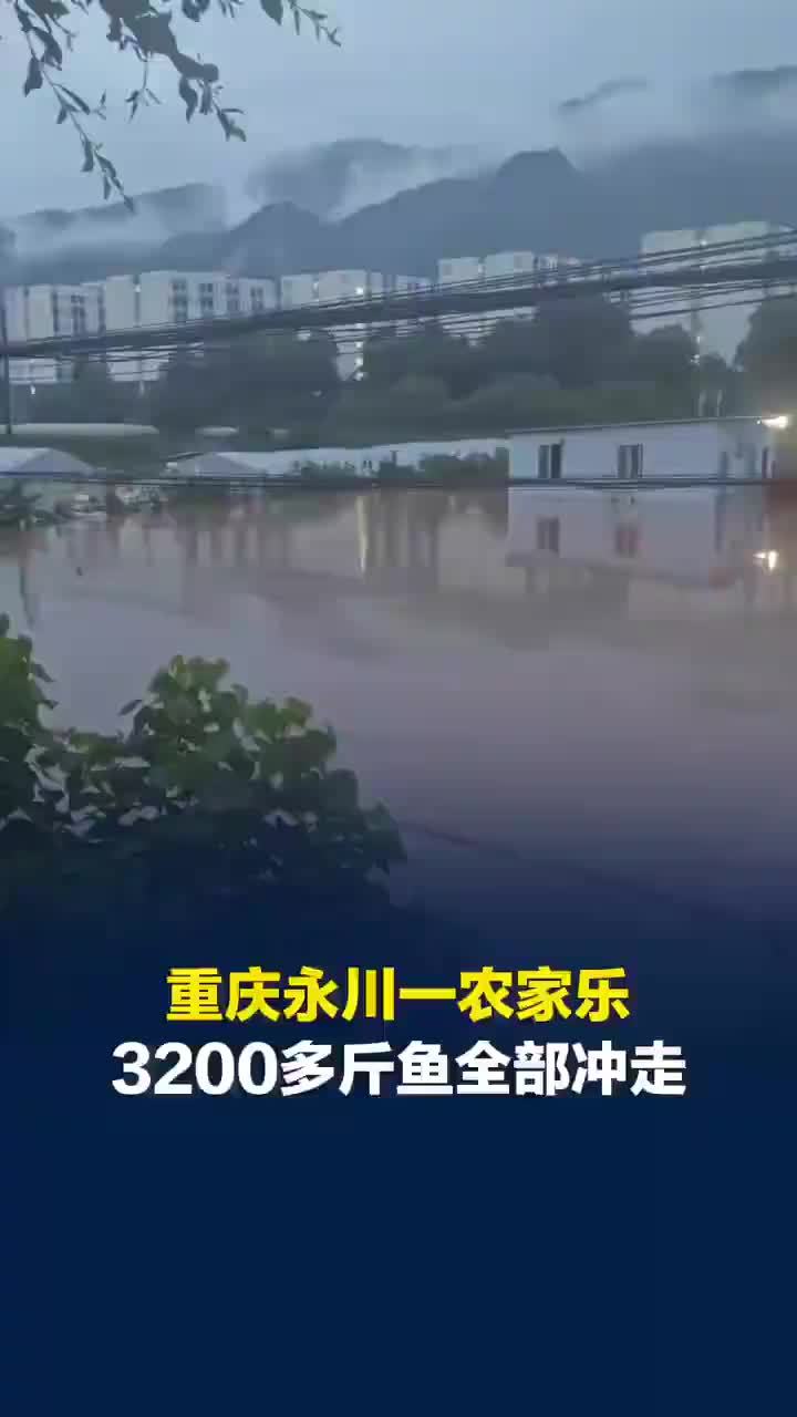 重庆永川一农家乐3200多斤鱼被冲走，老板：预估经济损失达10万元