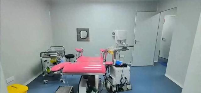 地下代孕实验室：不是助孕，是把人拆成零件卖