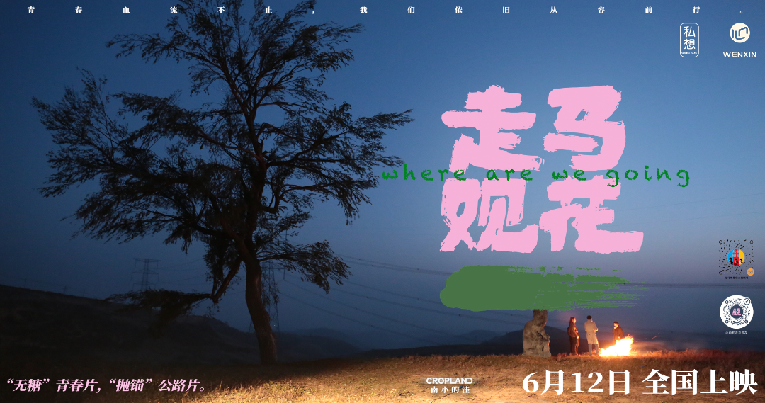 微信图片_20260528141329_1017_109.png