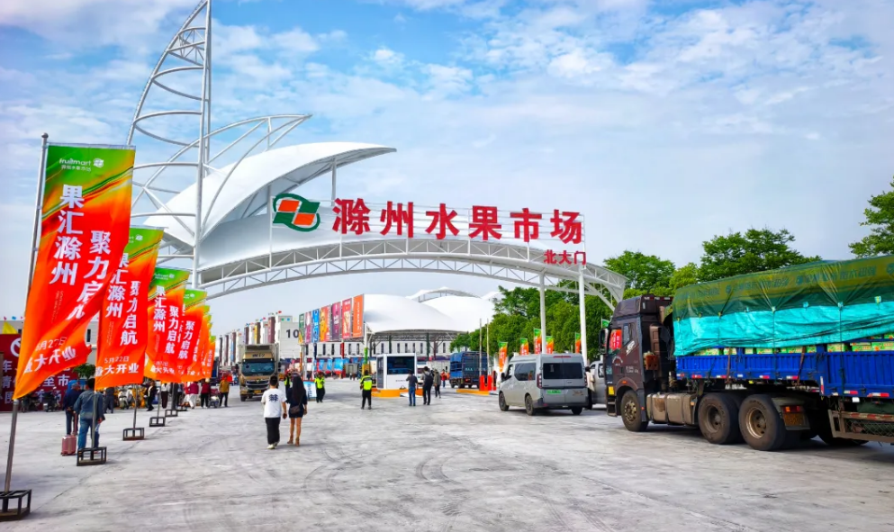 新开市的滁州水果市场。 “滁州市人民政府发布”微信公众号 图