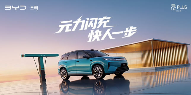 元力启新,一眼入魂!
