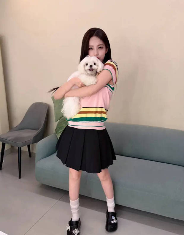 李一桐身着彩色T恤配黑色短裙 怀抱小狗甜美灵动(图1)