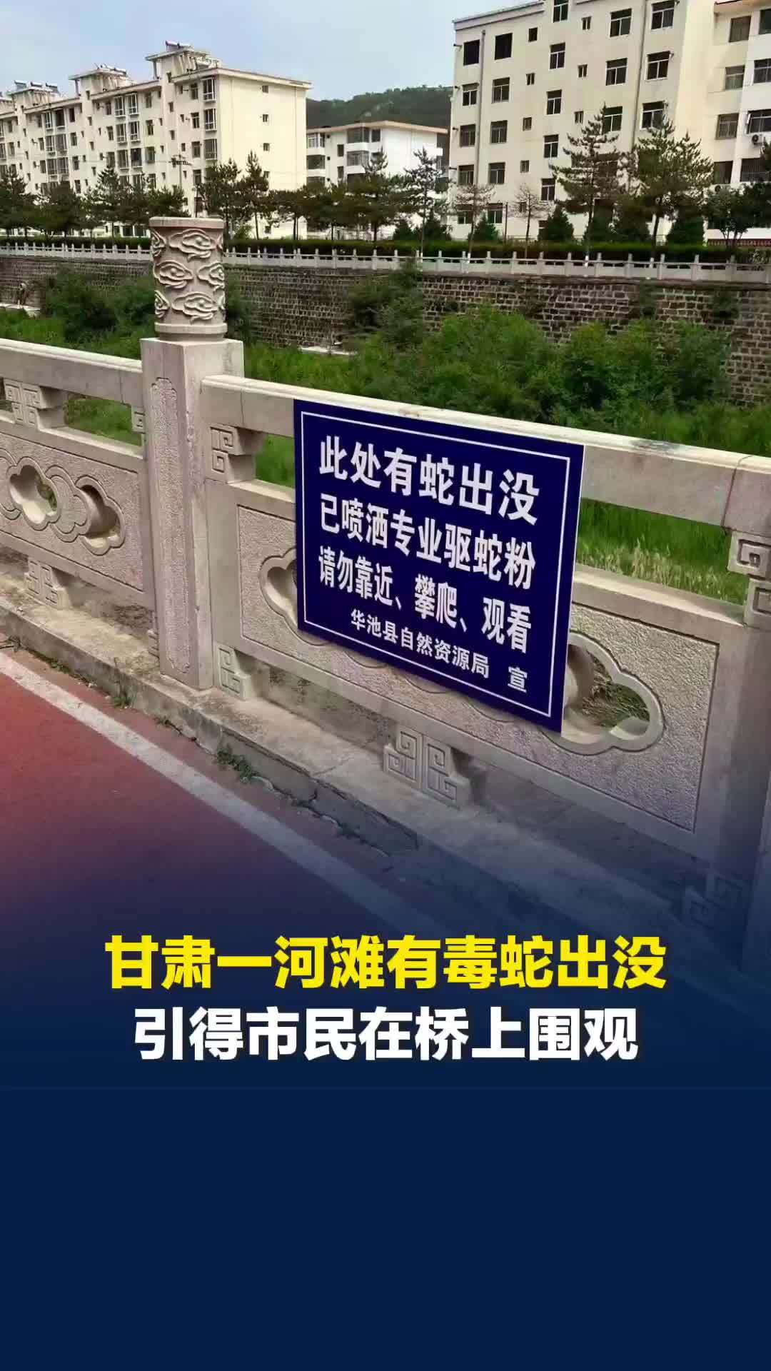 甘肃一河滩毒蛇出没引围观，当地悬挂告示牌提醒“勿靠近”