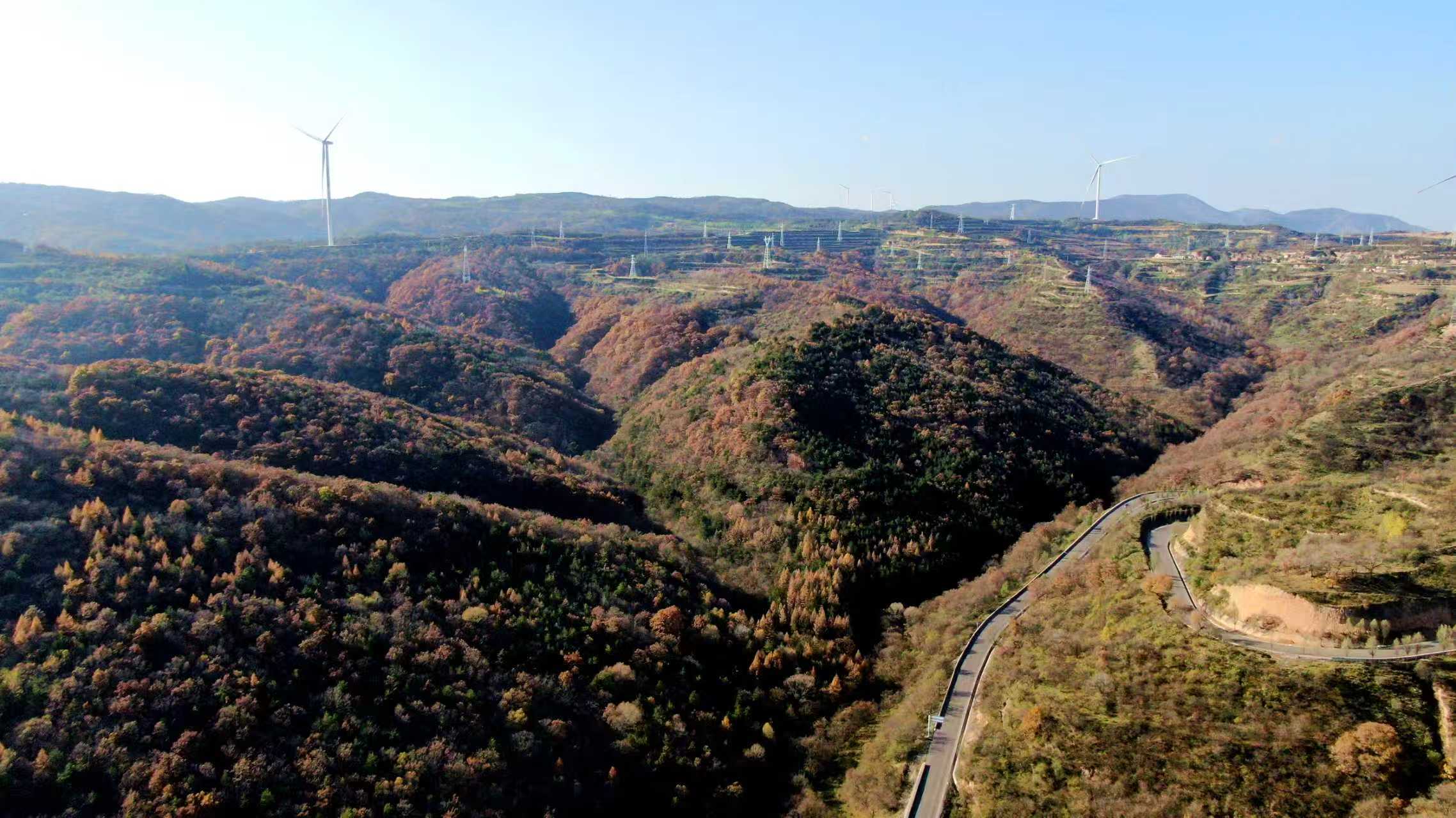 图为南部山区天然林秋季美景.jpg