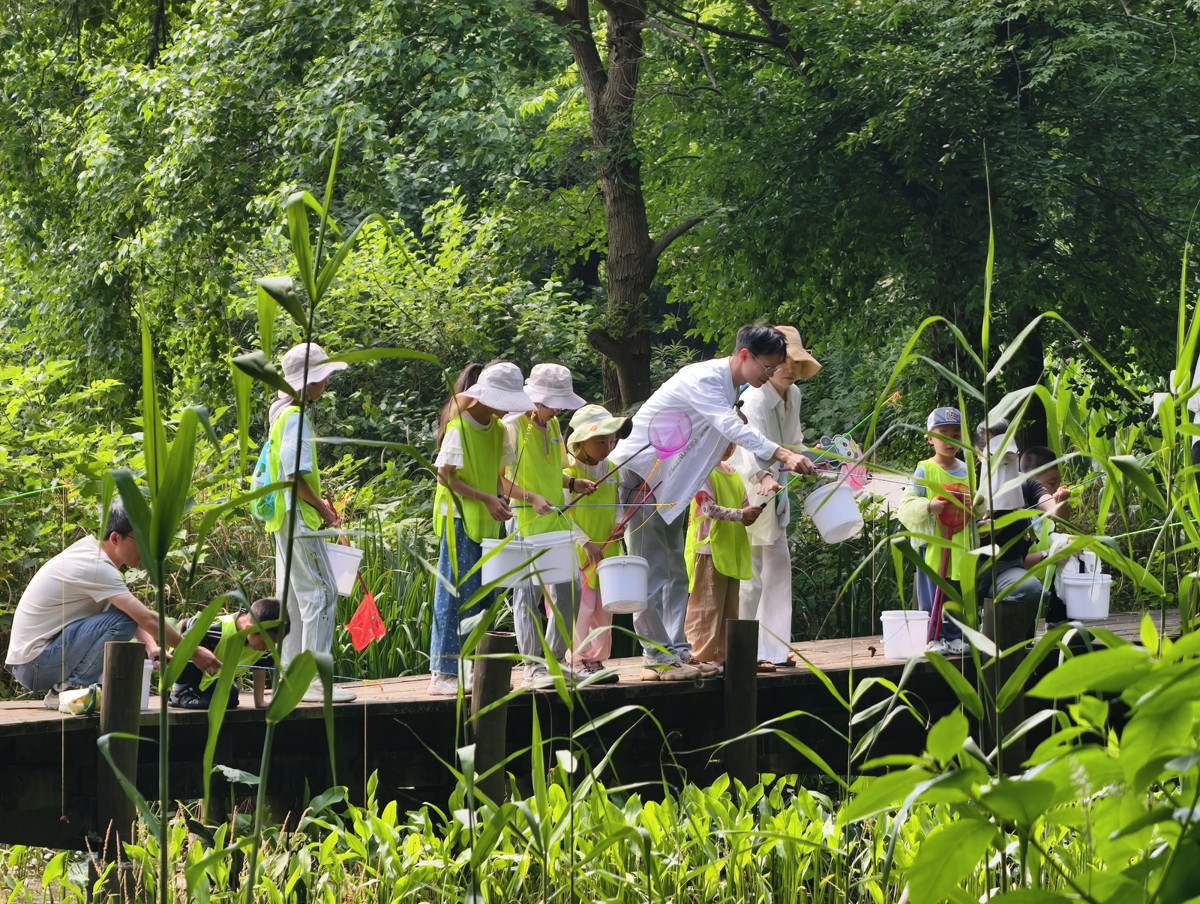 孩子们在植物园享受钓虾比赛