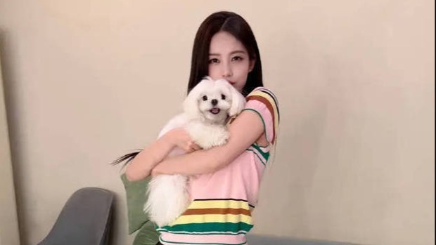 李一桐身着彩色T恤配黑色短裙 怀抱小狗甜美灵动