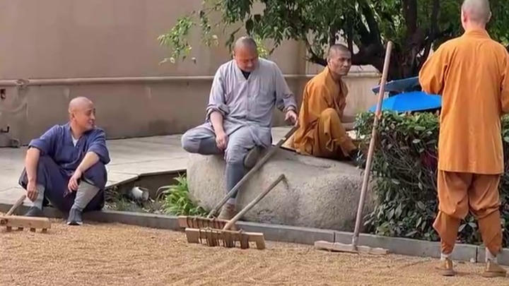 洛阳白马寺小麦收获，众僧侣集体晒新麦，景区广场秒变农场