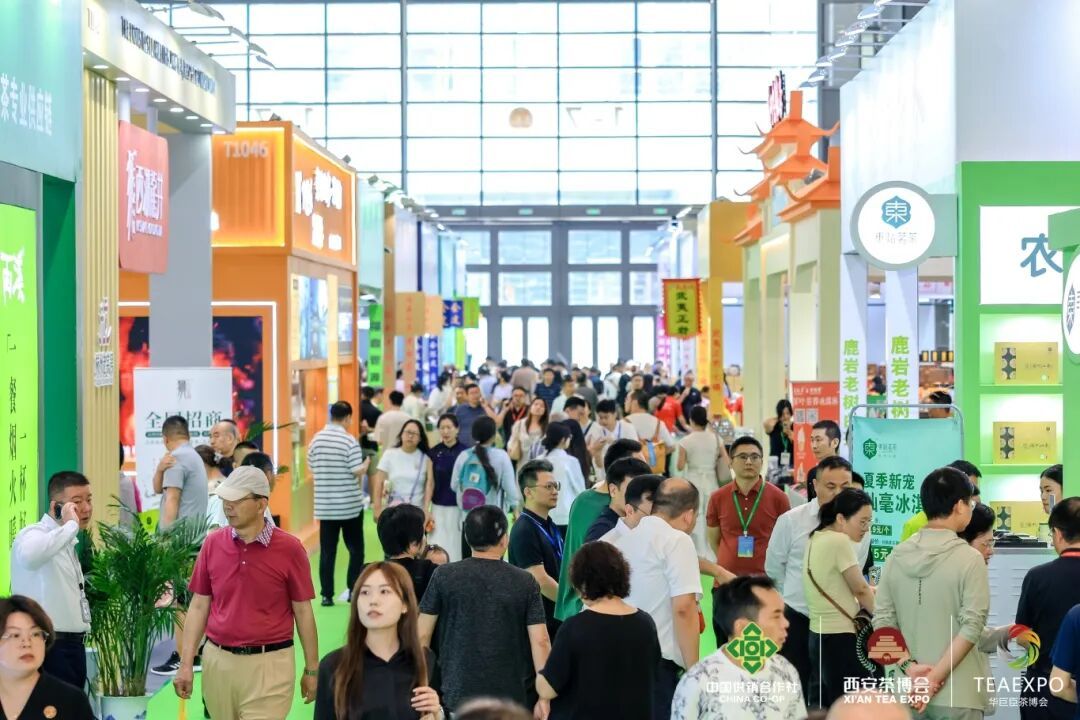 共襄西北顶流茶宴!第二十届西安茶博会盛大开幕!(图1)