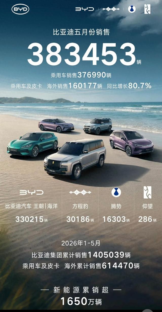 383453辆！5月销量公布：最可怕的不是卖得多，而是没东说念主能跟上了