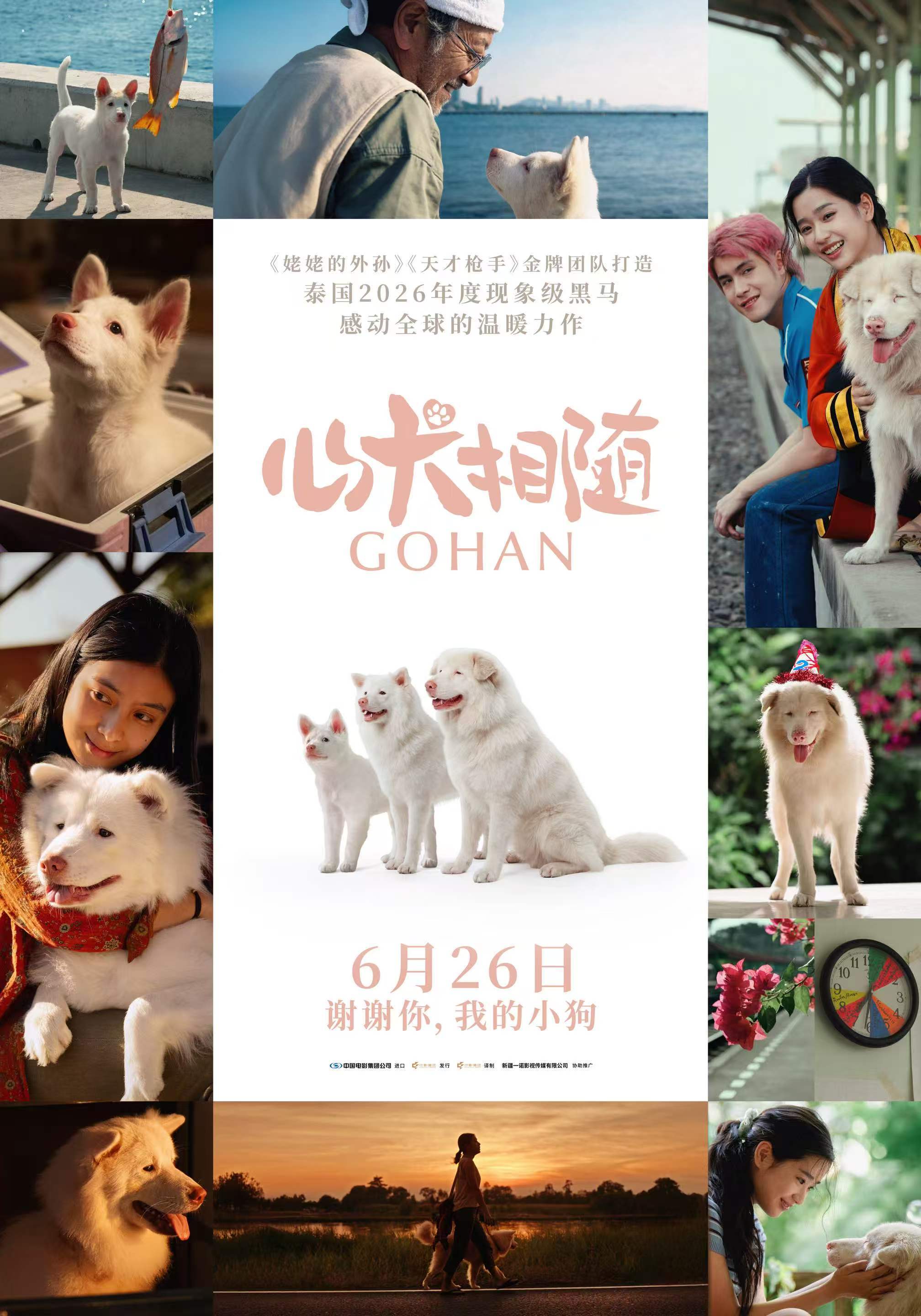 电影《心犬相随》定档6月26日 温暖治愈感动全球 电影《心犬相随》定档6月26日 温暖治愈感动全球
