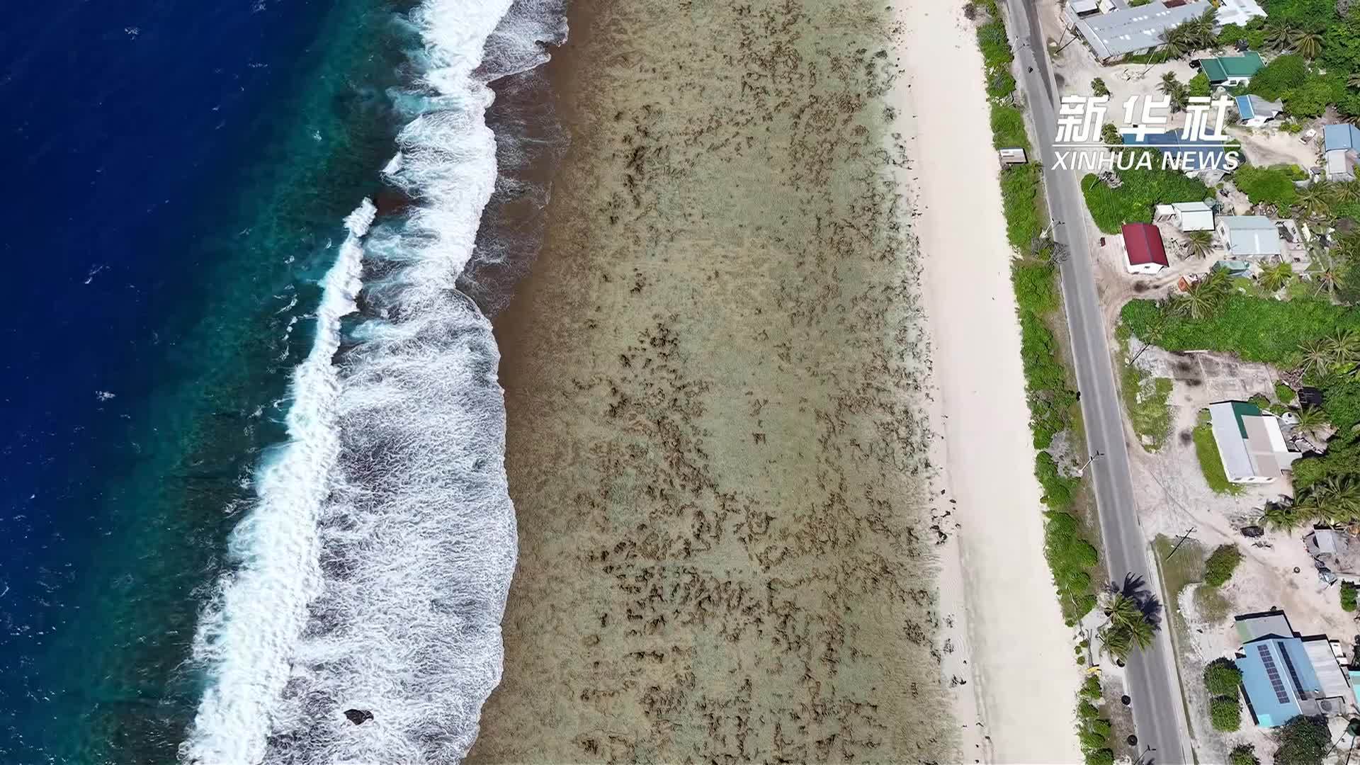 瑙鲁环岛游