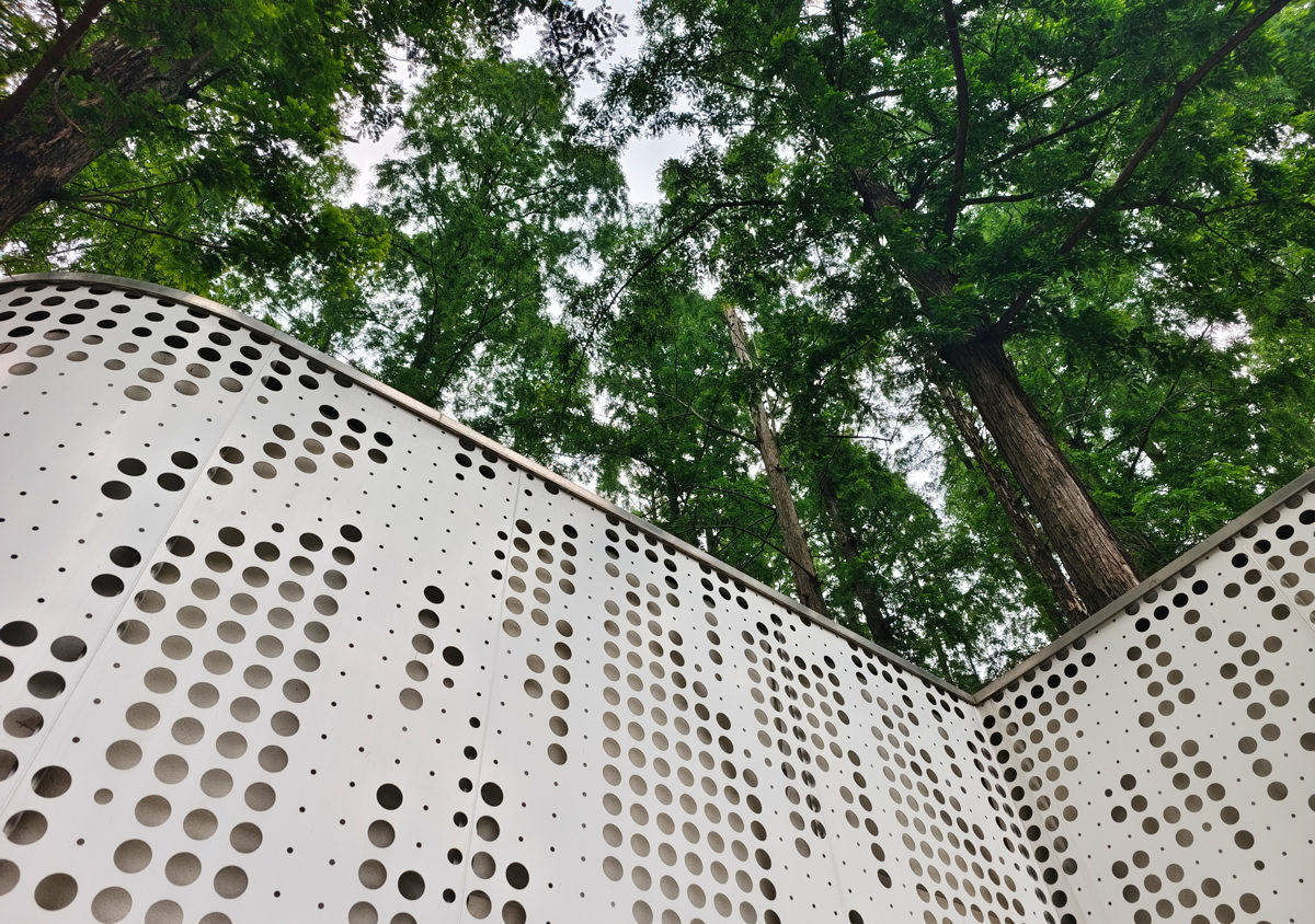 掩映在水杉林中的公厕