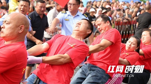 竹海竞逐定向越野桃江跑出乡村振兴加速度(图3)
