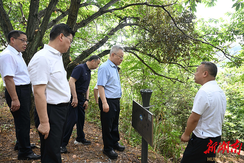 6月2日，沈晓明在祁阳市潘市镇龙溪村察看地质灾害隐患实时监测情况。