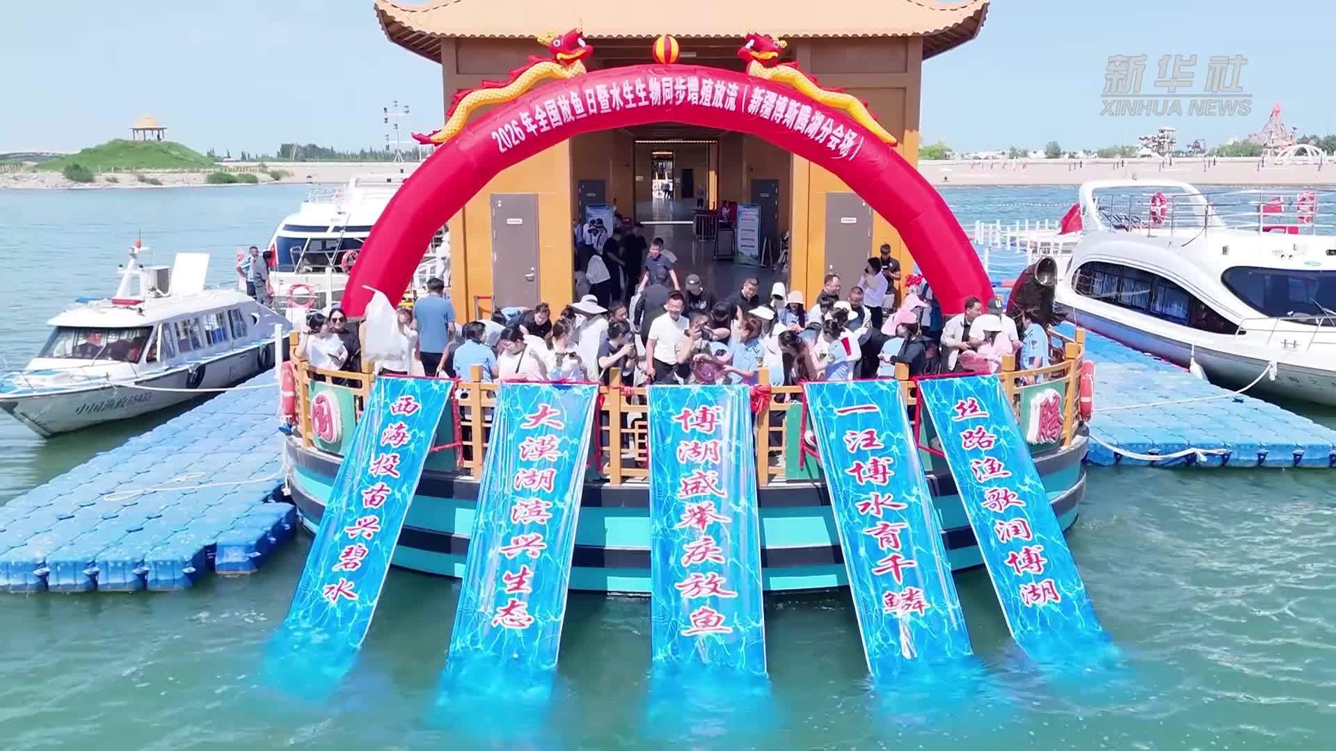 6万多尾“水中大熊猫”放流我国最大内陆淡水湖