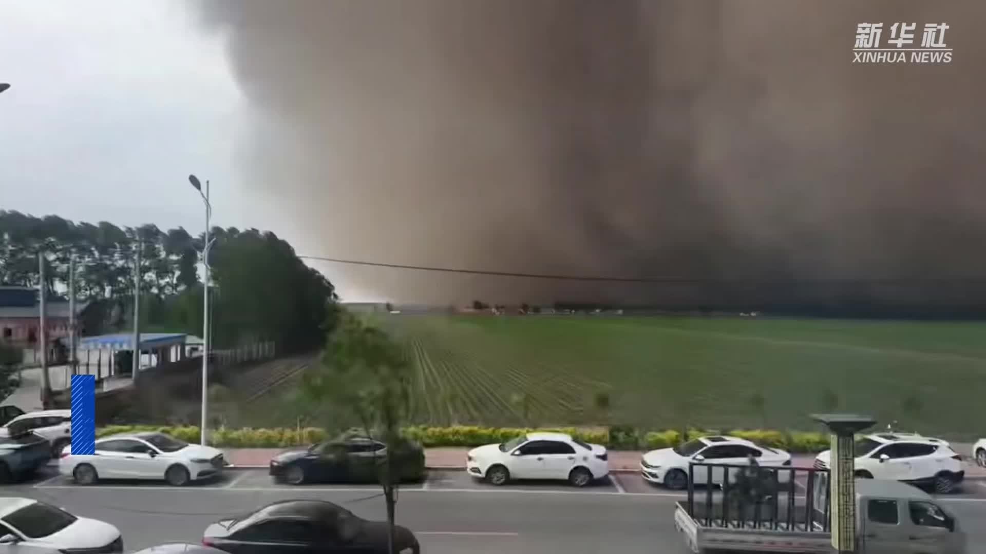 哈尔滨突遭大风天气
