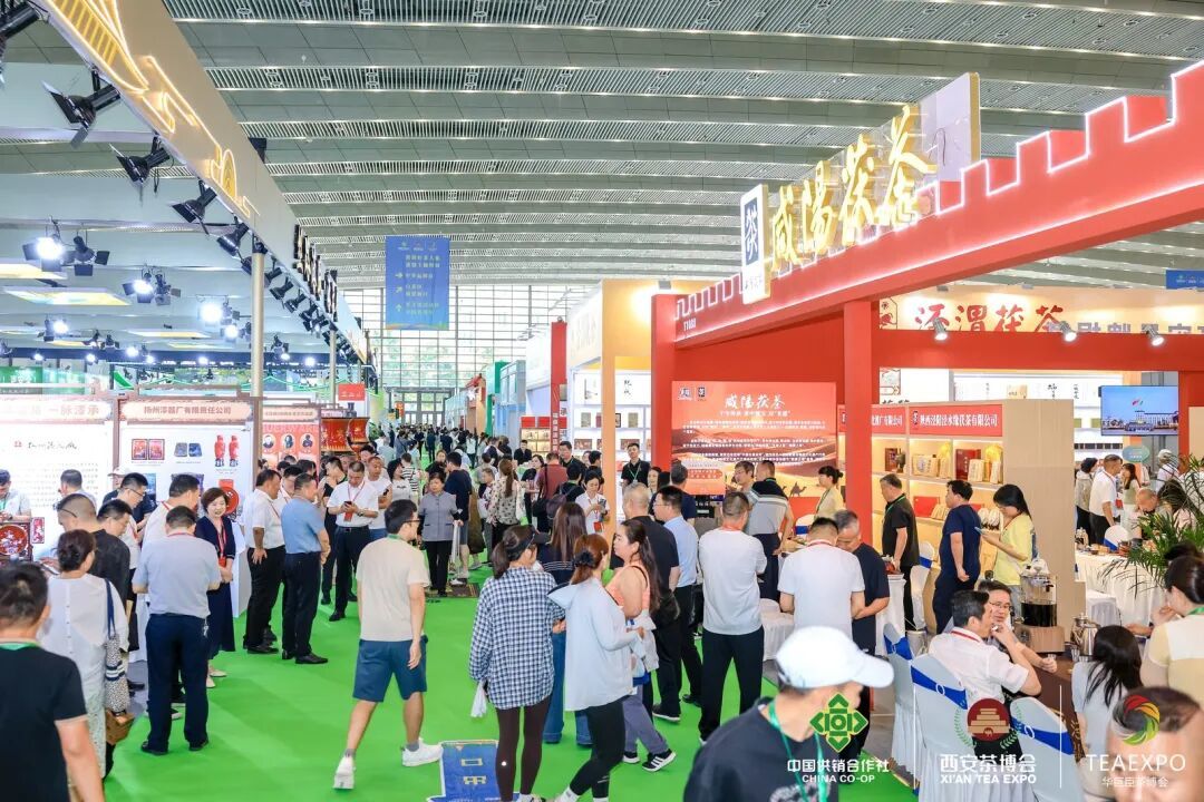 共襄西北顶流茶宴!第二十届西安茶博会盛大开幕!(图7)