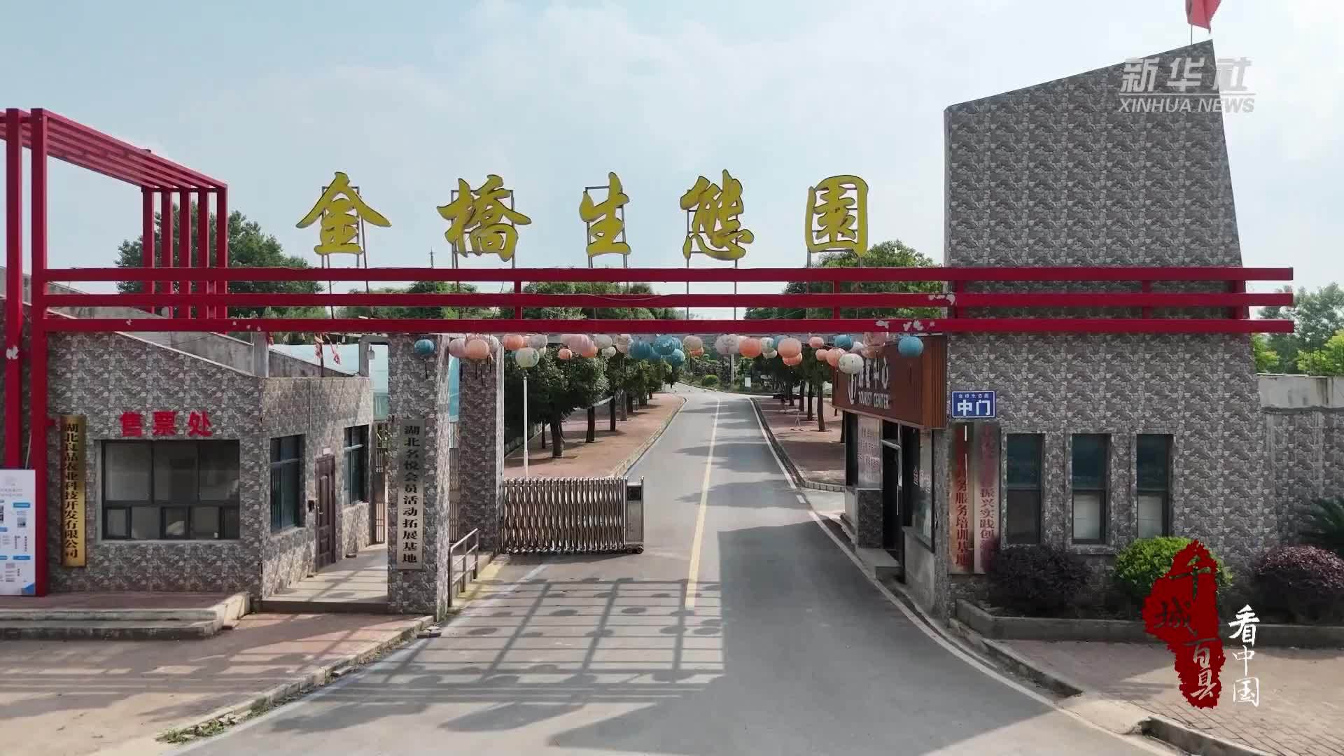 千城百县看中国｜湖北大冶：昔日矿坑开出“绿色新花”