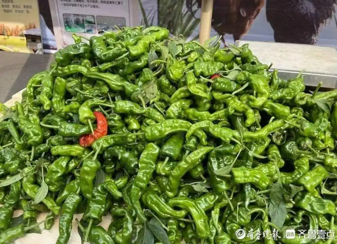 （辣子鸡配套的皱皮辣椒 图源齐鲁壹点）
