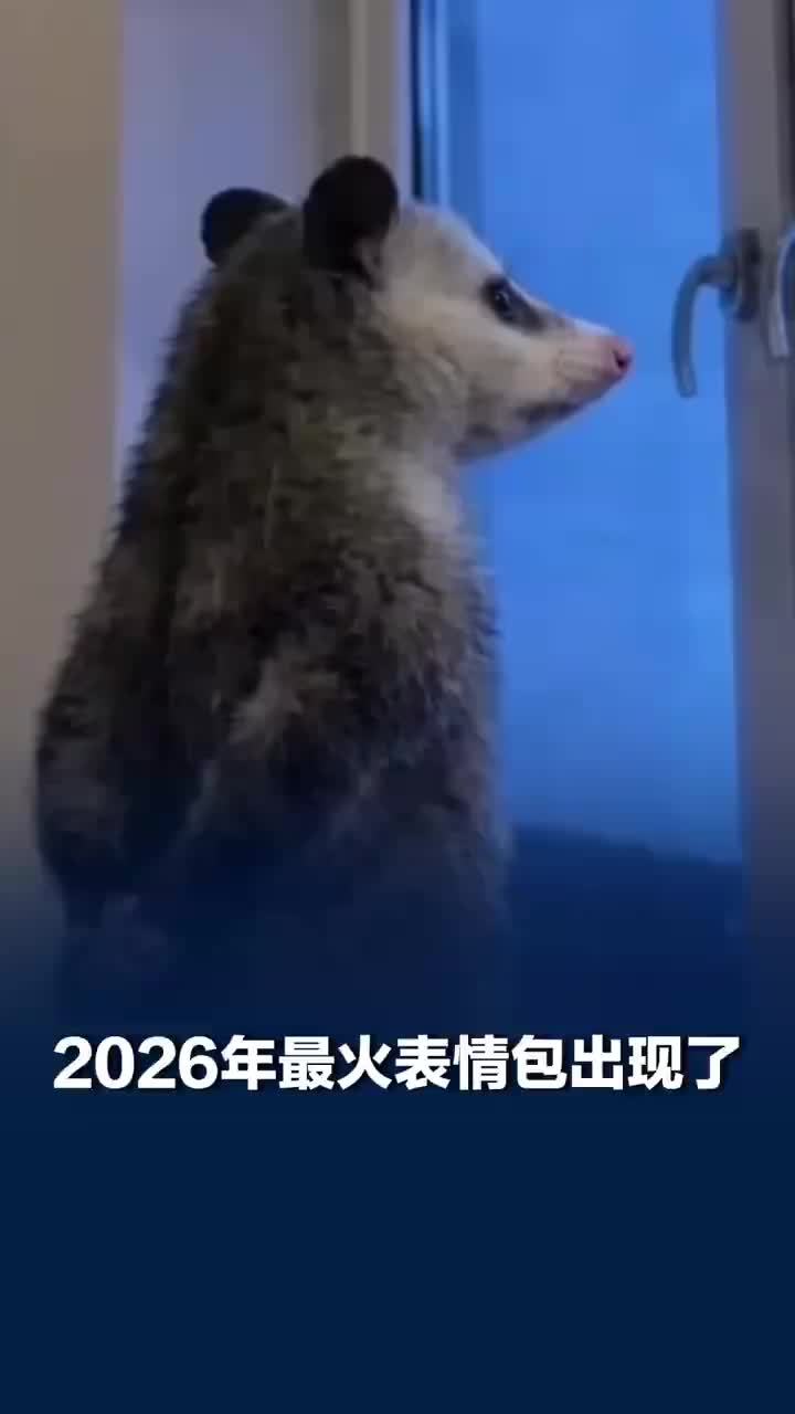 2026年最火表情包出现了