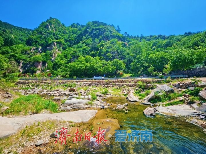 草木葱茏满目新 邂逅山野好风光