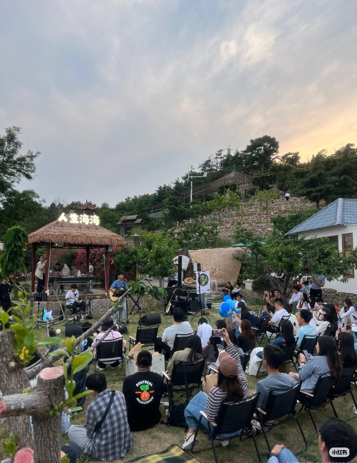青岛乡里乡亲｜一颗红樱串起“村字号”新图景——第三十一届北宅樱桃会开启乡村嘉年华