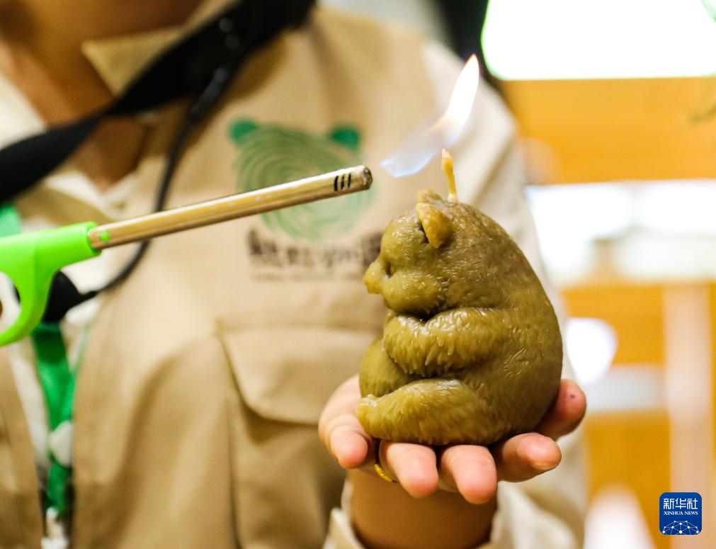 6月2日,人们在大熊猫溯源营地中的“戴维咖啡馆”品尝熊猫特色甜品。
