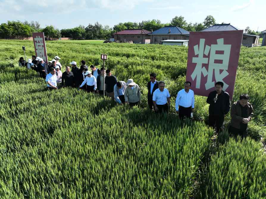 现场验收会