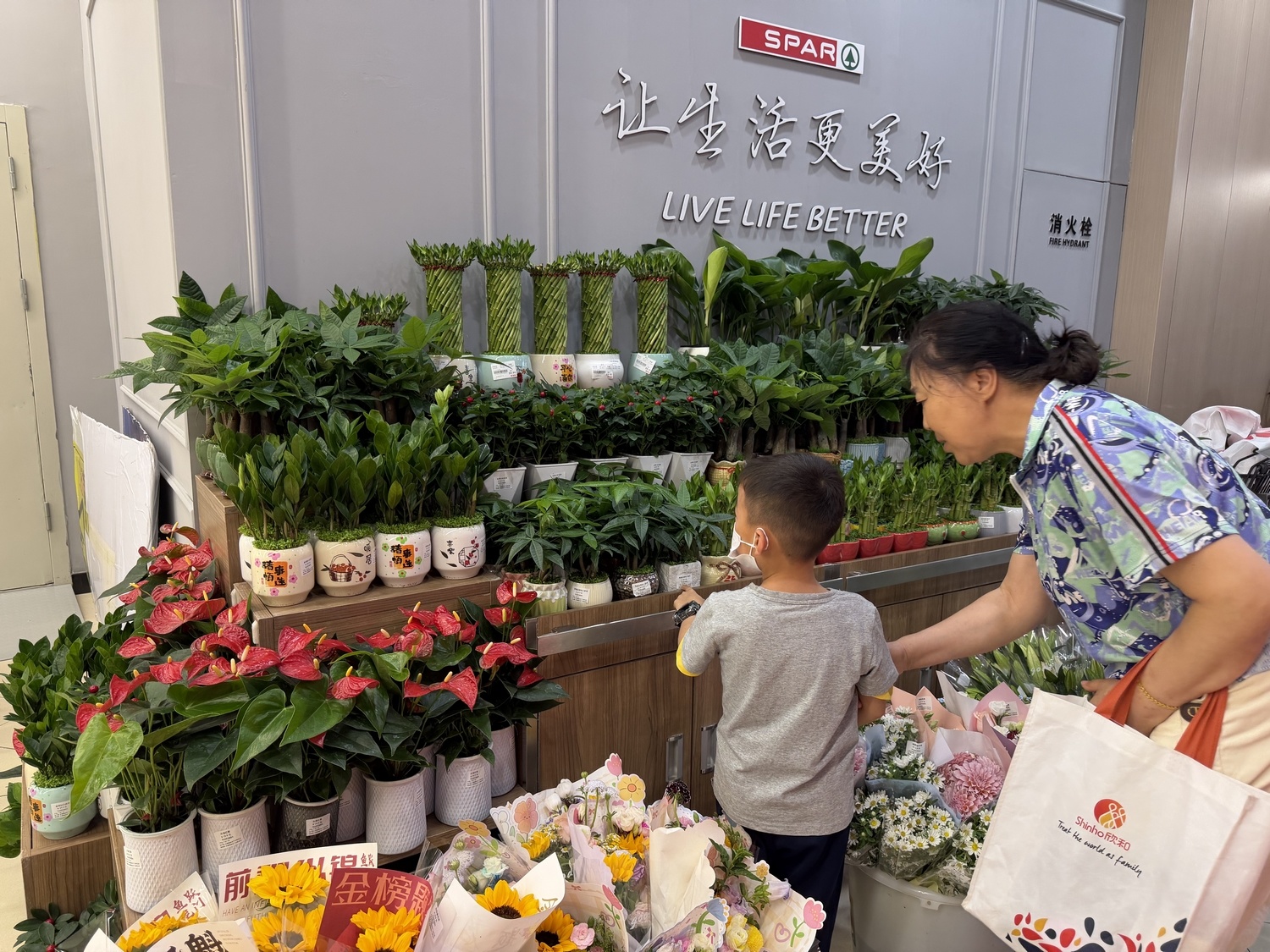 家家悦逸家广场店焕新启幕 以“品质零售”重塑社区生活新标杆