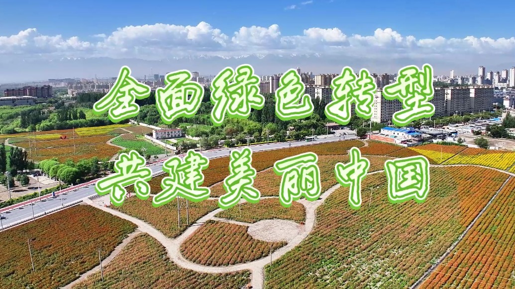 甘肃肃州每一寸绿　都是转型注脚