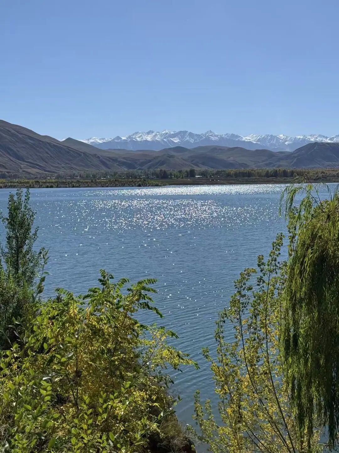 摄影：唐泽雪穗